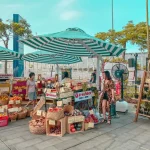 Destinasi Wisata Jakarta Selatan dengan Pemandangan Luar Biasa Urban Farm PIK
