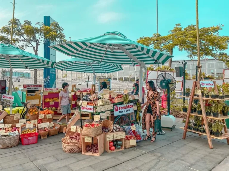 Destinasi Wisata Jakarta Selatan dengan Pemandangan Luar Biasa Urban Farm PIK